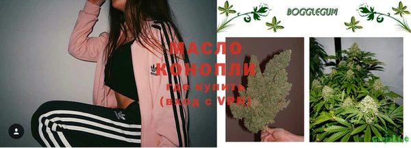 первитин Няндома