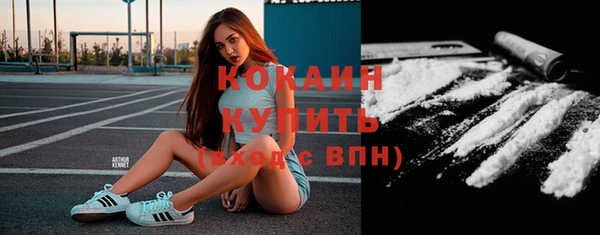 первитин Няндома