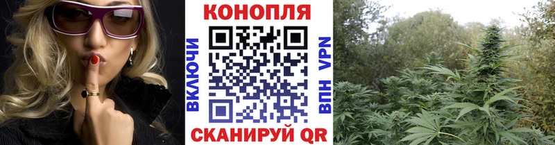 Купить  Цивильск  МАРИХУАНА Amnesia 